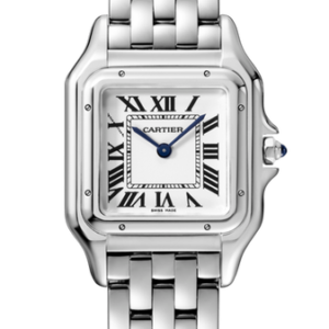 Cartier PANTHÈRE DE CARTIER - Steel Medium