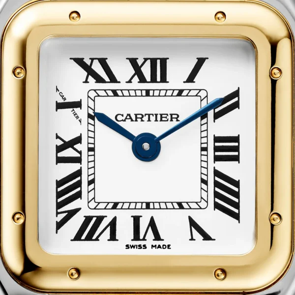 Cartier PANTHÈRE DE CARTIER - Small Steel and Yellow Gold – Image 7