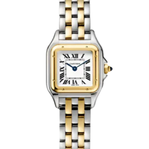 Cartier PANTHÈRE DE CARTIER - Small Steel and Yellow Gold